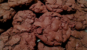Double Chocolate Chip Cookies
